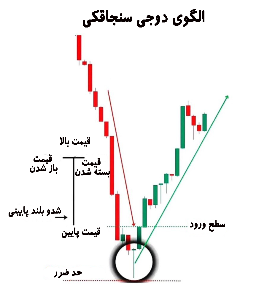 تصویر شماتیک دوجی سنجاقکی
