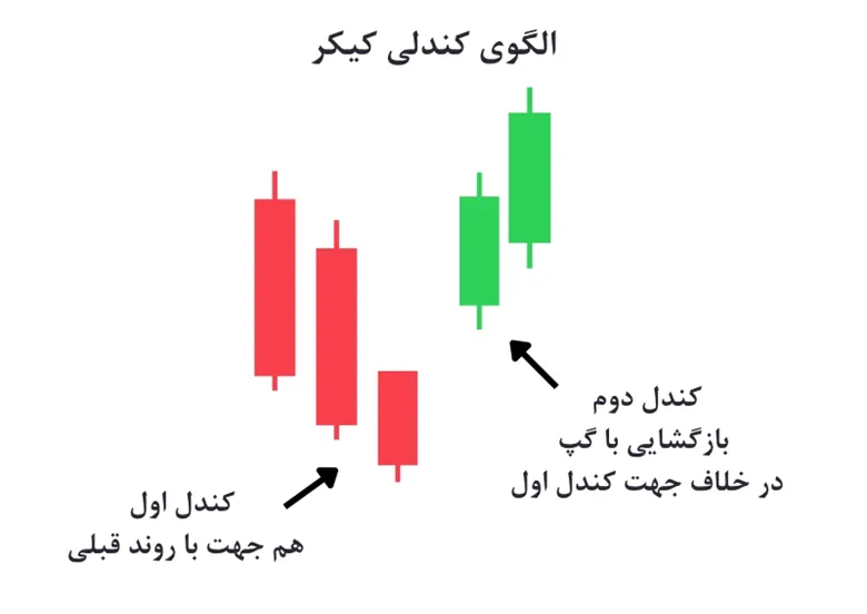 تصویر شماتیک الگوی کیکر