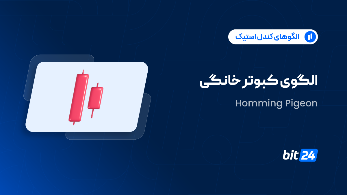 الگوی کبوتر خانگی چیست