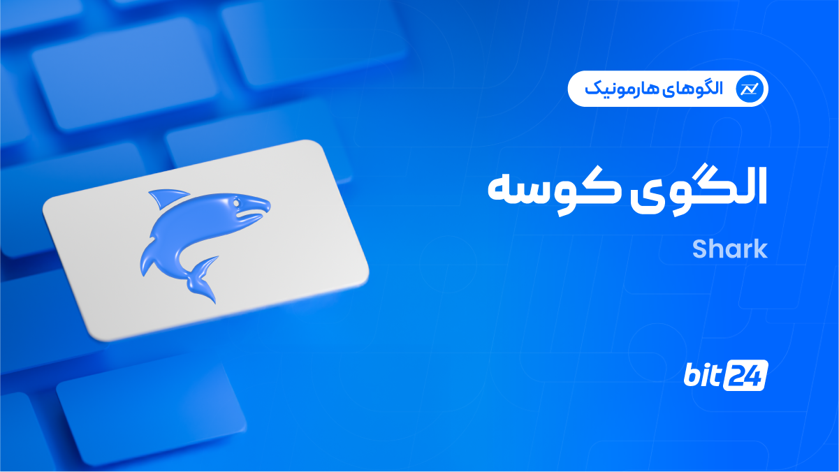 الگوی کوسه چیست